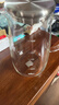 小熊（Bear）家用凉水壶 高硼硅玻璃杯1.5L 大容量冰箱冷水壶杯子啤酒杯 实拍图