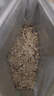十月稻田 即食燕麦片 500g 早餐速食即食  膳食纤维 营养无添加蔗糖 轻食 实拍图