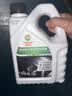 嘉实多（Castrol）四季通用防冻液汽车发动机冷却液长效乙二醇水箱宝 -40度绿色 实拍图