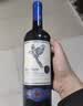 蓝雀鸟葡萄酒 半甜型红葡萄酒微醺 赤霞珠智利原装原瓶进口 750ml 实拍图