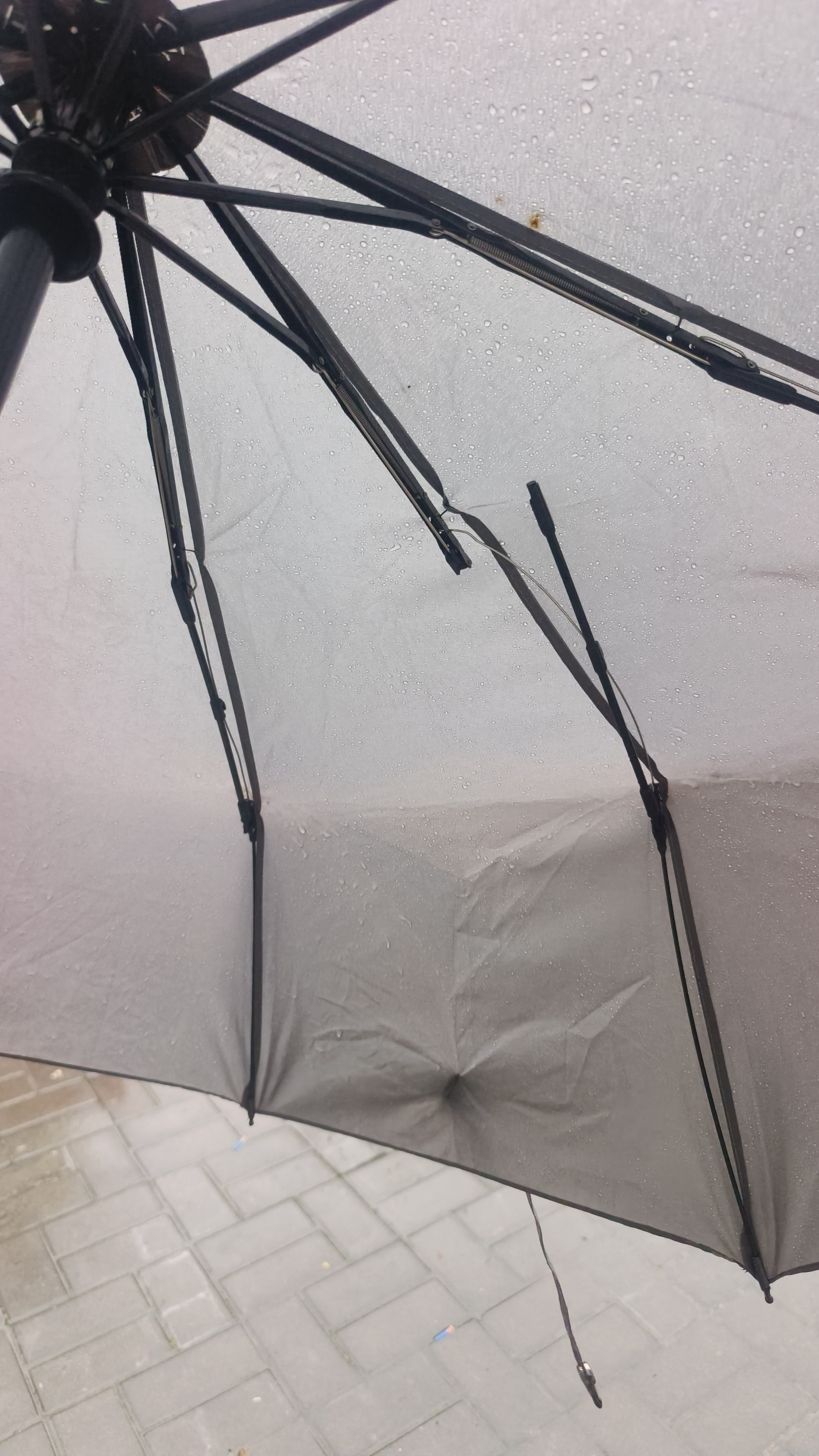 天堂伞 全自动雨伞三折 10骨加固一键开收易甩干简约商务自动伞 天际灰 实拍图