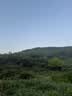 永彩（YONGCAI）称重电子秤商用称高精度电子称充电台秤家用可折叠秤摆摊生意秤卖菜计价计数秤快递秤工业磅秤 150公斤【液晶黑架】30*40可折叠后仰 实拍图