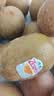 佳沛（zespri）新西兰阳光金奇异果16粒礼盒经典果单果 88-103g  猕猴桃水果礼盒 实拍图