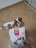 麦富迪狗狗零食 奢华营养鸭肉干1200g成幼犬磨牙训练奖励解馋宠物零食 实拍图