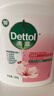 滴露（Dettol）洗手液抑菌消毒滋润500g+500g 补充装 儿童家庭护手替换装 实拍图