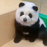 老庙淡水珍珠项链毛衣链女款送妈妈款母亲节日生日礼物年轻款 送证书+精美礼盒(8-9mm) 实拍图