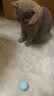 HELLOJOY猫玩具自动逗猫玩具球自嗨解闷神器电动逗猫棒磨牙幼猫猫咪玩具 实拍图
