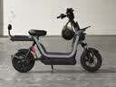 九号（Ninebot）【新国标电自】九号电动Fz1 60电动自行车9号智能电动车【门店自提】 到门店选颜色 实拍图