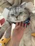 鲜朗低温烘焙猫粮无谷全阶段通用型鲜郎营养高蛋白鸡肉全价猫粮囤货装 烘焙猫粮2kg*4【囤货装】 实拍图