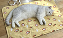 憨憨乐园宠物冰垫狗狗垫子防水夏季降温猫咪凉席泰迪金毛中小型犬用品 XL 实拍图