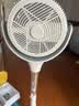 艾美特（AIRMATE）【全屋循环】电风扇空气循环扇大风力家用AI语音遥控卧室一级能效直流变频安静轻音落地扇 SRD259 实拍图