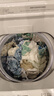 夏普SHARP夏普无孔波轮洗衣机 10KG 自动投放 全自动波轮 变频节能 XQB100-8B8F-W 实拍图