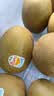 佳沛（zespri）新西兰阳光金奇异果巨大果22粒原箱单果146-175g 猕猴桃水果礼盒 实拍图