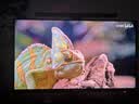 AOC爱攻 32英寸4K240Hz BlackAR3.0抗反屏 五层堆叠QD-OLED HDR500 DP2.1 TypeC电竞显示器AG326UZD2 实拍图