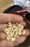 展艺花生碎200g熟炒花生冰粉凉粉牛轧糖干碟烤肉白凉粉冰粉粉烘焙 实拍图