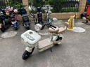台铃电动自行车小锦鲤2026新国标电动车48V13AH铅酸电池长续航可上牌男女通勤代步上班电瓶车香草白 实拍图