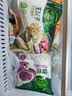 必品阁（bibigo）王饺子 白菜猪肉840g 约24只 早餐半成品速冻水饺蒸饺速食夜宵 实拍图