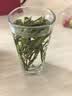 希诺抗菌玻璃杯双层防烫办公车载水杯男高档泡茶杯子XN-9607K 410mL 实拍图