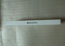 Apple/苹果 Pencil Pro 磁吸触控笔手写笔苹果笔电容笔书写绘画iPad笔 适用于iPad Pro/Air/mini机型 实拍图