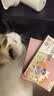 财咪宠物驱虫药猫咪狗狗体内外同驱一体幼犬去跳蚤蜱虫用非泼罗尼滴剂 实拍图