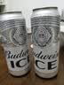百威冰啤酒500ml*18听整箱装【99%好评】京东自营 实拍图