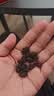佰儒 10年 糯米香茶化石 百年古树云南勐海普洱茶叶老茶头 500g礼盒装送礼熟茶 实拍图