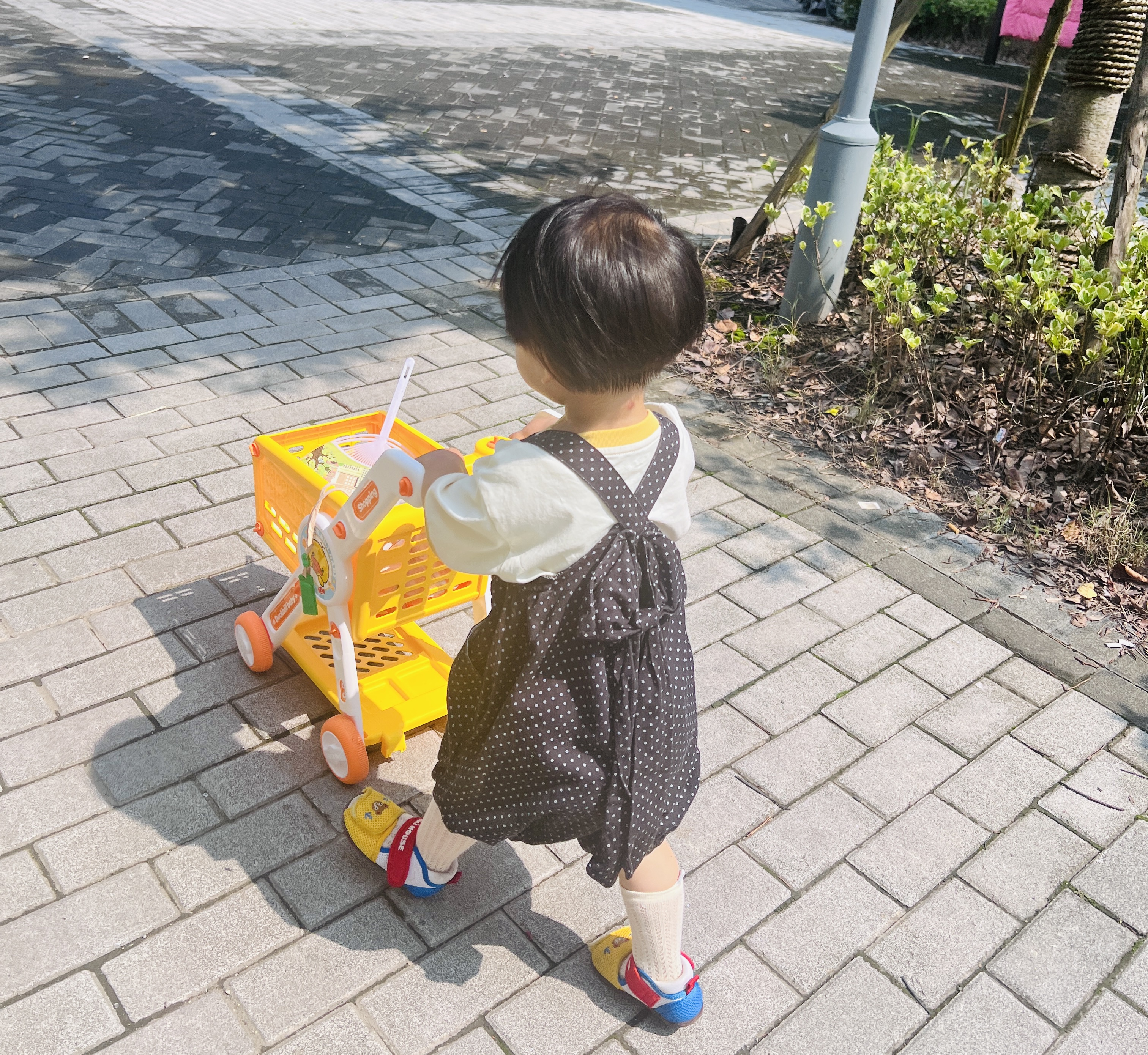 光合星球babycare儿童零食婴幼儿米饼6月+宝宝磨牙棒饼干香蕉味50g 实拍图