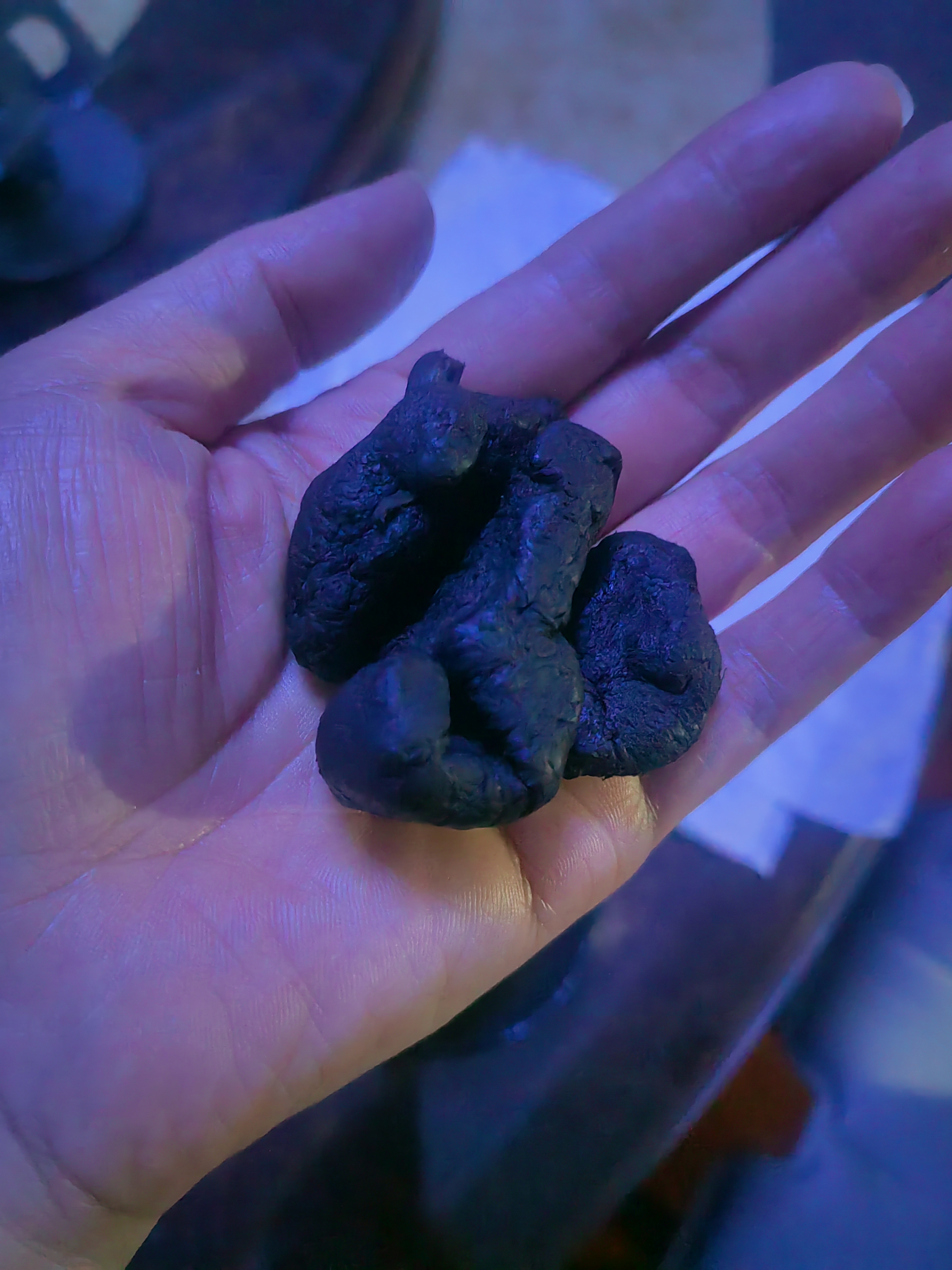 福东海 黄精250克【即食款】炙黄精片九蒸九晒熟干 泡茶泡酒料五宝茶 实拍图