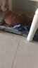 licheers猫狗窝凉席小型犬宠物猫咪睡垫夏季床垫泰迪中大型犬狗垫子 M号 实拍图