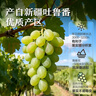 良品铺子新疆绿葡萄干520g新疆特产无核大颗粒免洗葡萄干健康休闲零食 实拍图