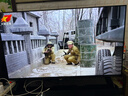酷开创维京东联名JD01京东OS开机无广告43英寸电视智慧屏一级能效国补平板电视机足球季专属显示器43K3 实拍图