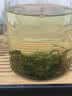 印象堂茶叶2026绿茶 明前春茶新茶松溪原产绿茶浓香袋装500g自己喝礼品 实拍图