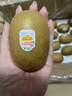 佳沛（zespri）新西兰 阳光金奇异果12粒特大果单果124-146g 猕猴桃水果礼盒 实拍图