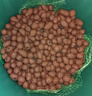 陶粒通用型垫底陶粒养花专用花盆铺面陶土种植土兰花多肉营养土 10升园艺陶粒（中颗粒12-16mm） 实拍图