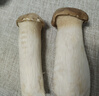 彩虹雨有机蔬菜食用菌菇杏鲍菇200g生鲜蔬菜新鲜 实拍图