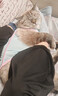 大宠爱 猫驱虫药 体内外同驱耳螨虱子跳蚤虫 2.6-7.5kg成猫 3支装 实拍图