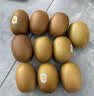 佳沛（zespri）新西兰阳光金奇异果10粒巨大果单果146-175g 猕猴桃水果礼盒 实拍图