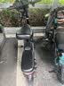 普莱德新国标折叠电动自行车 超长续航电动车 铝合金代驾车 锂电池助力男女通用成人电瓶车 代步电单车 避震顶配-22减震-进口级电芯-纯电续航≤120km 实拍图