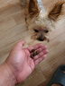愛肯拿（ACANA）狗粮清火鸭肉梨成犬幼犬低敏去泪痕通用原装进口粮2kg效期27/8 实拍图