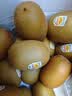 佳沛（zespri）新西兰 阳光金果25-27粒原箱特大果单果124-146g 猕猴桃水果礼盒 实拍图