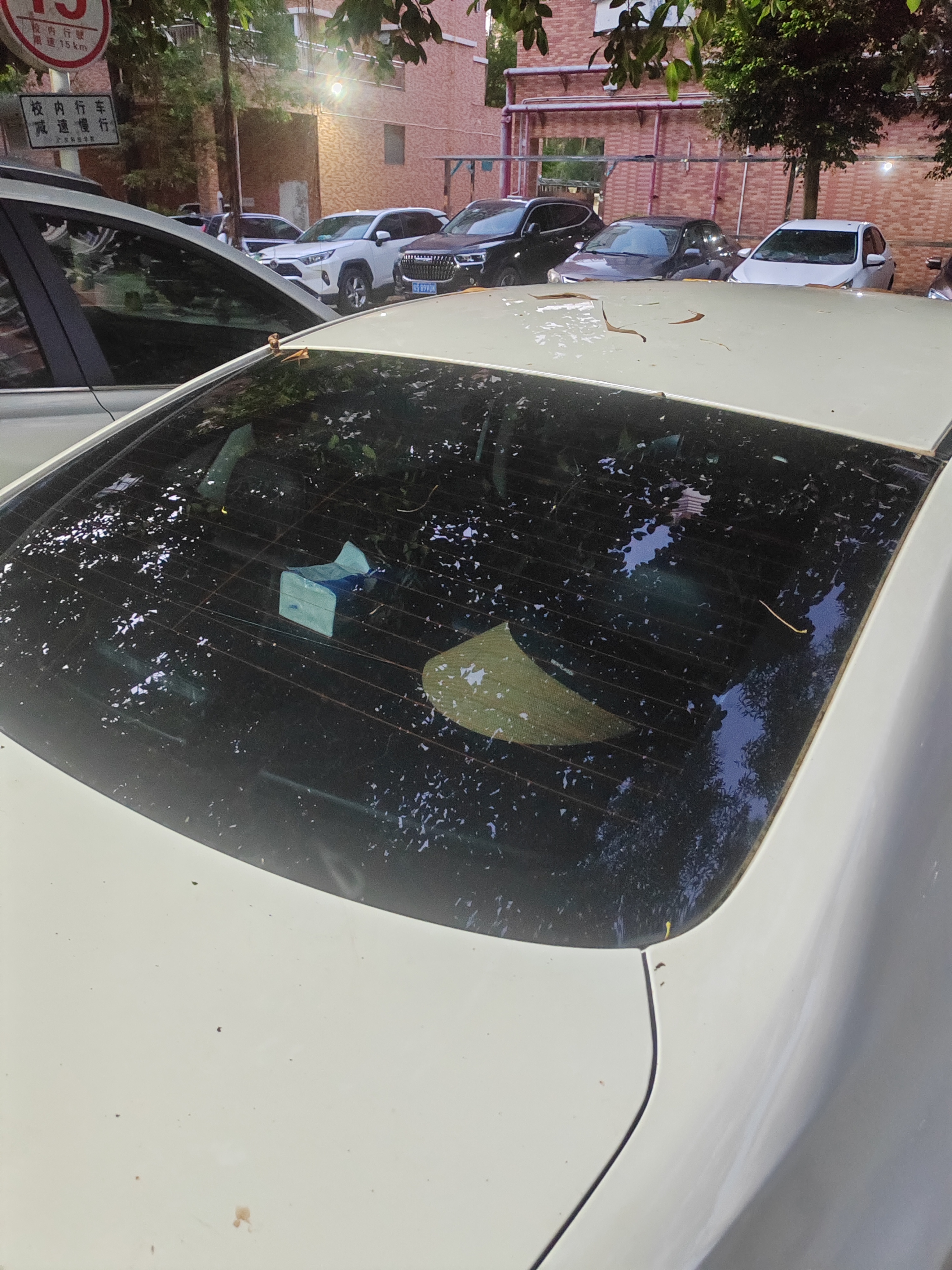 强生汽车贴膜隔热膜玉石浅色汽车玻璃膜车膜前挡风玻璃膜车窗膜汽车膜隔热防爆防晒太阳膜玻璃隐私贴膜 实拍图