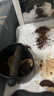 吉意欧GEO醇品经典美式咖啡豆500g阿拉比卡豆中深烘美式醇香黑咖啡  实拍图