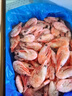 禧美海产加拿大北极甜虾净重3斤/盒 90/120规格 熟冻  MSC认证 轻食海鲜 实拍图