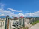猫人男士内裤男冰丝男抗菌大码平角裤男生凉感透气四角短裤头裤衩 实拍图