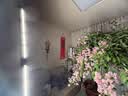 三思植物补光灯仿太阳全光谱植物灯 室内植物生长灯-80W侧发光 实拍图