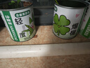 双盟神奇种植罐头端午节网红同款盆栽儿童礼物创意植物送孩子趣味盆栽 实拍图