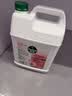 滴露（Dettol）洗手液补充装大桶消毒滋润5L 儿童家庭装杀菌护手 实拍图