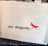 红蜻蜓（RED DRAGONFLY）2026新款包包女包单肩斜挎手提包送老婆妈妈生日礼物礼盒 实拍图