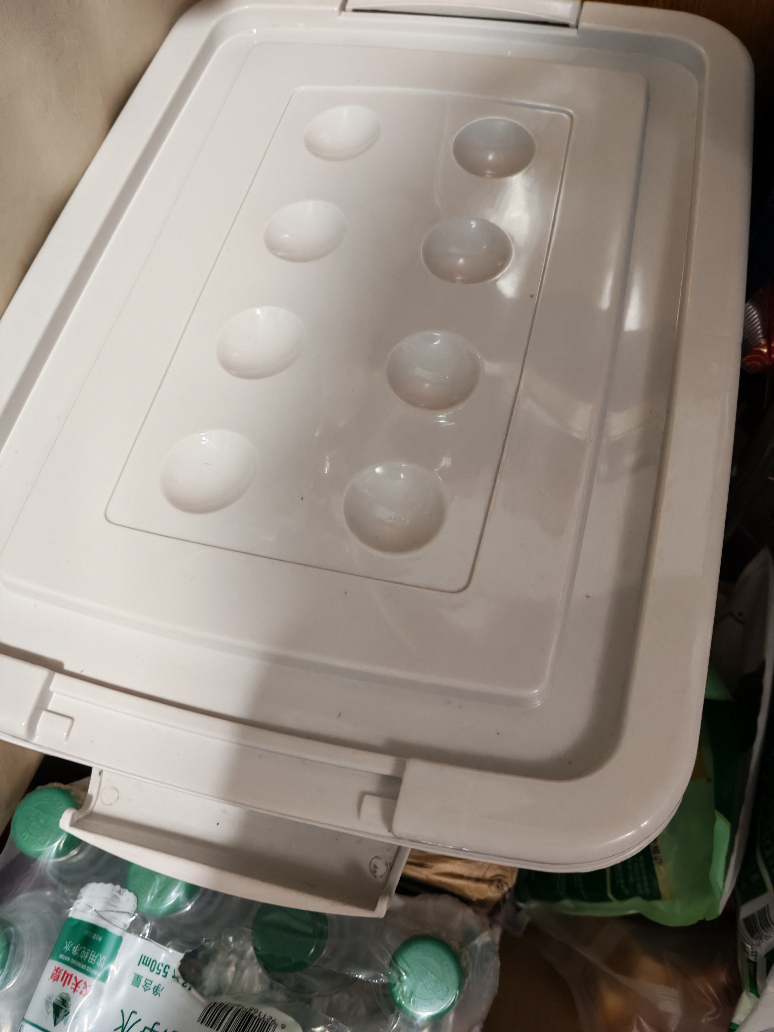 箱居塑料收纳箱大号衣物整理箱搬家箱储物箱带轮特大号玩具被子打包箱 收纳箱带盖【38*27*20】 实拍图