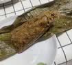 国芳粽子肉粽新鲜现做 鲜肉粽180gx8只 湖州非遗粽子端午团购源头直发 实拍图